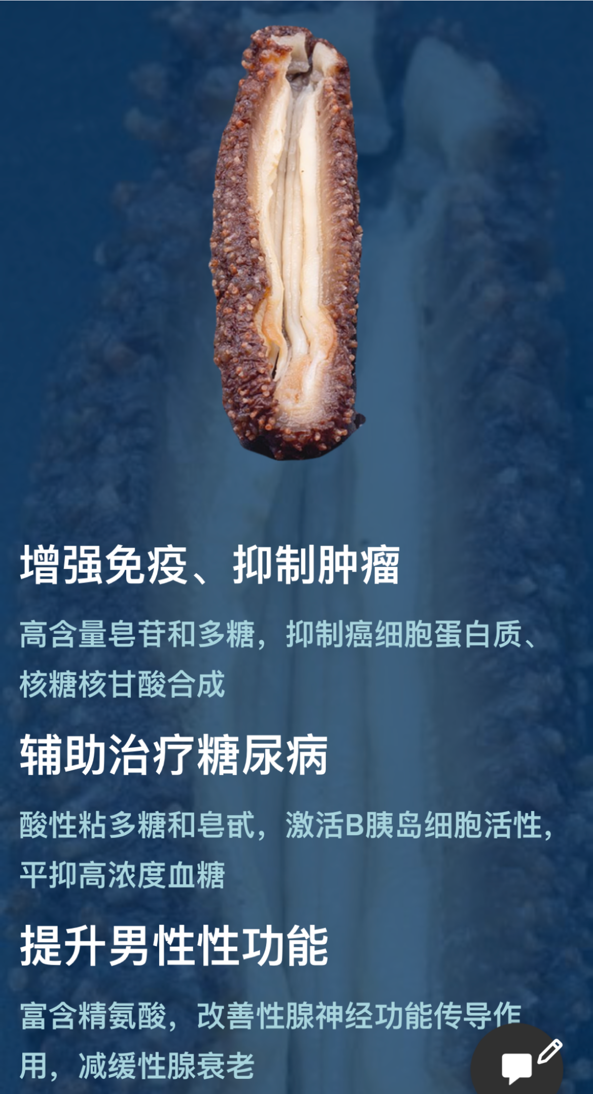 Frozen Alaska Sea Cucumber Wild Caught -1 LB/pack(Frozen)