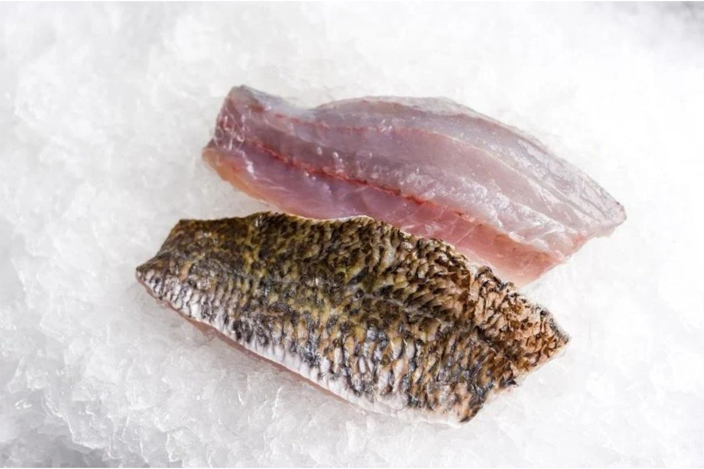 Barramundi fillet (5 packs)