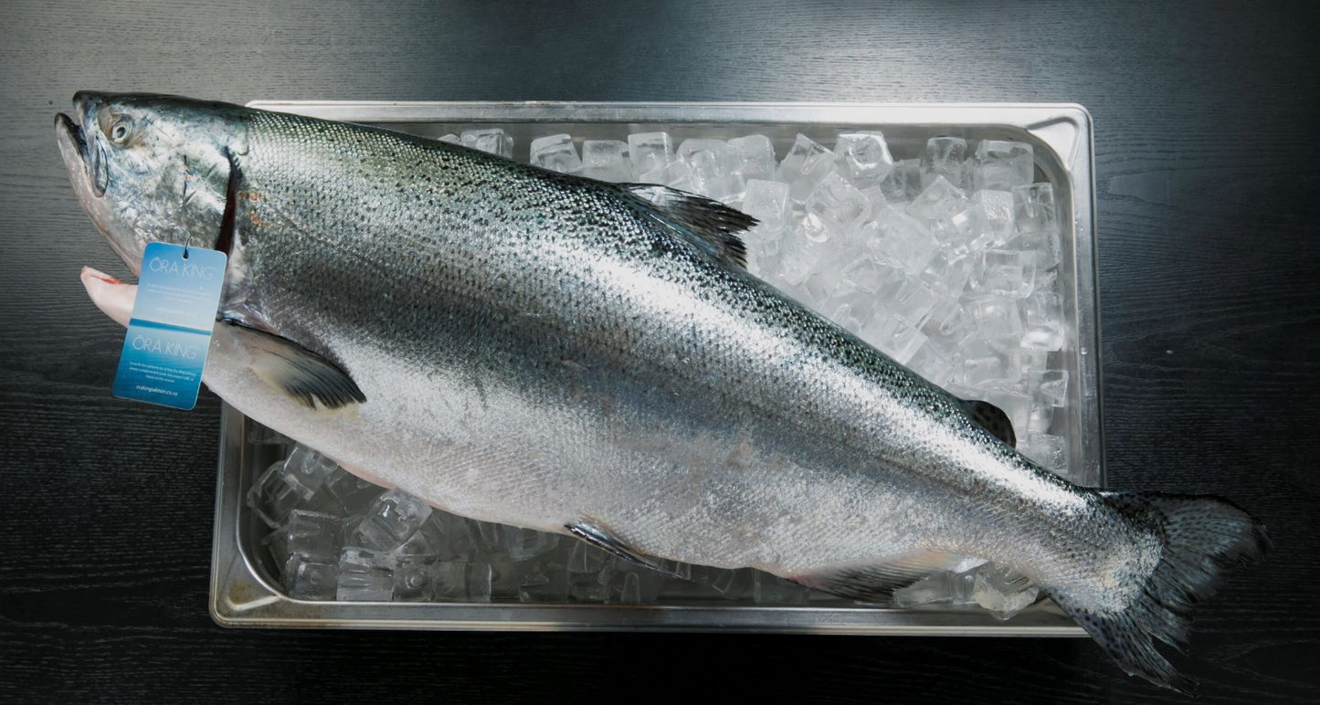 New Zealand fresh King Salmon - each piece